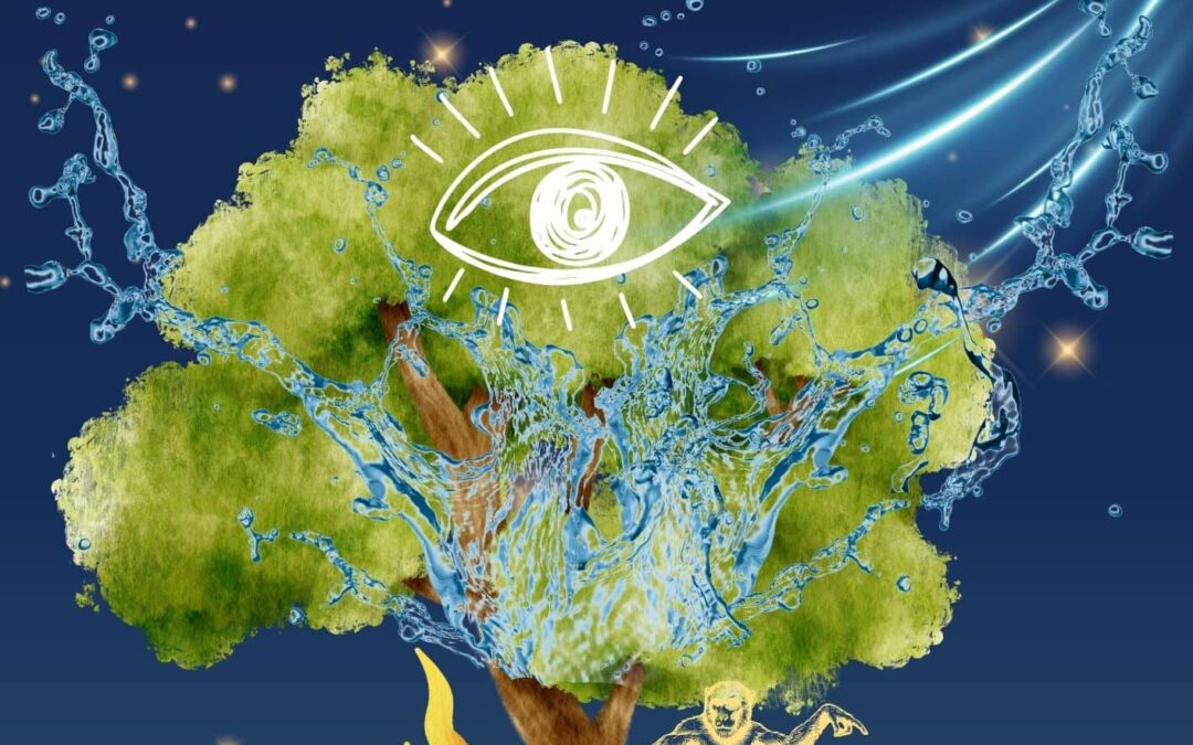 [ 21 & 22 Août ] Nuit des invisibles 2026 : En quête de l’Arbre
